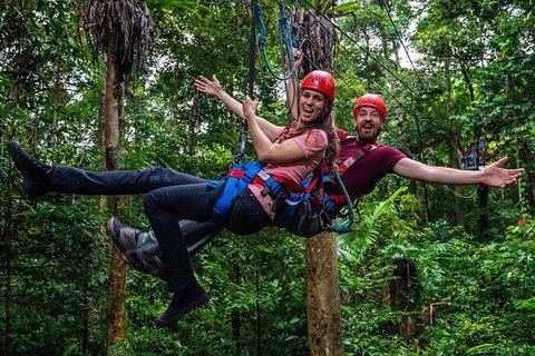 Daintree Atttractions Pass: The Best Of The Daintree In A Day - Lennox Head Accommodation 1