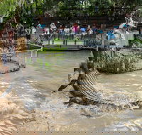 Hartley's Crocodile Adventures General Entry Ticket - Lennox Head Accommodation
