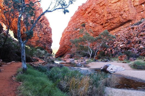 Half Day MacDonnell Ranges Small Group - Private Guided Tour - Lennox Head Accommodation 0