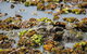 Kakadu, Nourlangie And Yellow Waters Tour From Darwin - thumb 17