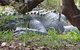 Kakadu, Nourlangie And Yellow Waters Tour From Darwin - thumb 13