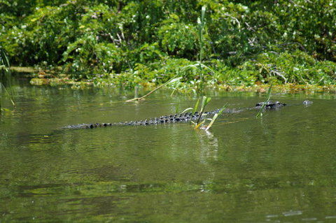 Kakadu, Nourlangie And Yellow Waters Tour From Darwin - Lennox Head Accommodation 4