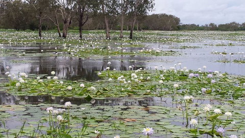 Kakadu, Nourlangie And Yellow Waters Tour From Darwin - Lennox Head Accommodation 12