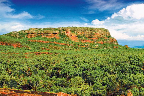 Kakadu, Nourlangie And Yellow Waters Tour From Darwin - Lennox Head Accommodation 36