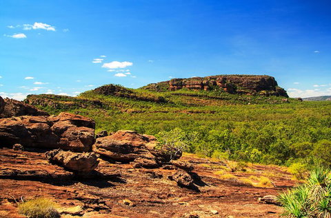 Kakadu, Nourlangie And Yellow Waters Tour From Darwin - Lennox Head Accommodation 34