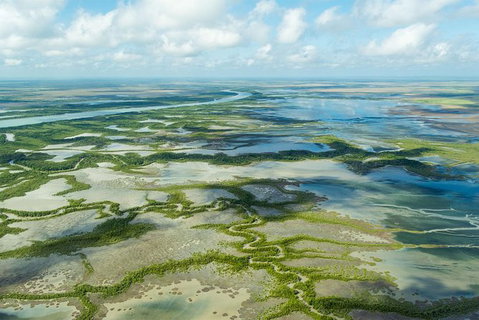 Darwin To Kakadu Day Trip By Air Including Yellow Water Cruise - Lennox Head Accommodation 3