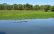 Darwin To Kakadu Day Trip By Air Including Yellow Water Cruise - thumb 8
