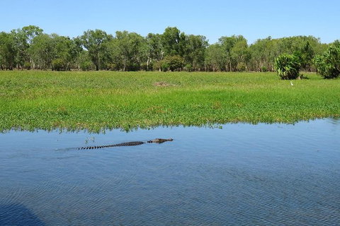 Darwin To Kakadu Day Trip By Air Including Yellow Water Cruise - Lennox Head Accommodation 8