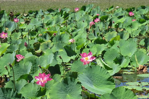 Darwin To Kakadu Day Trip By Air Including Yellow Water Cruise - Lennox Head Accommodation 10