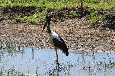 Darwin To Kakadu Day Trip By Air Including Yellow Water Cruise - Lennox Head Accommodation 12