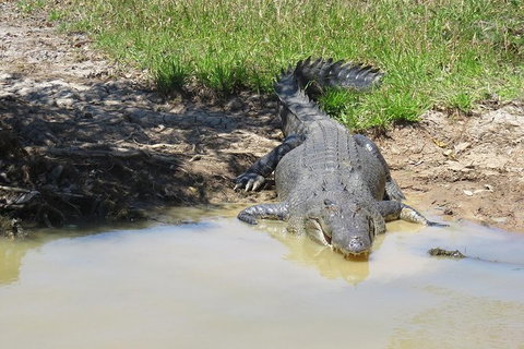 Darwin To Kakadu Day Trip By Air Including Yellow Water Cruise - Lennox Head Accommodation 5