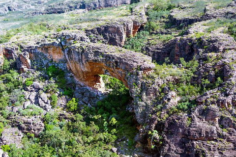 Darwin To Kakadu Day Trip By Air Including Yellow Water Cruise - Lennox Head Accommodation 13