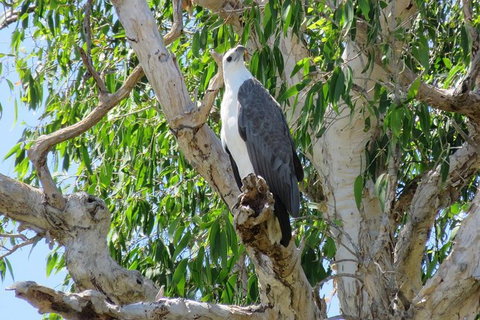 Darwin To Kakadu Day Trip By Air Including Yellow Water Cruise - Lennox Head Accommodation 6