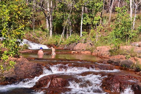 Litchfield National Park Day Tour From Darwin With Waterfalls And Buley Rockhole - Lennox Head Accommodation 0