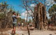Litchfield National Park Day Tour From Darwin With Waterfalls And Buley Rockhole - thumb 7