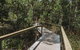 Litchfield National Park Day Tour From Darwin With Waterfalls And Buley Rockhole - thumb 5