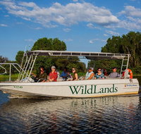 830am Safari Cruise 1.5 Hours - Lennox Head Accommodation