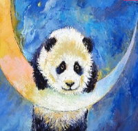 Panda Moon - Six Tanks 7.00-9.00pm - Lennox Head Accommodation