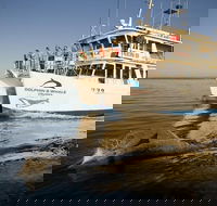 Jervis Bay Dolphin Watch Cruise - Lennox Head Accommodation