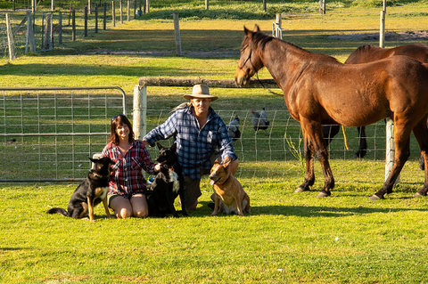 Meet The Animals - Lennox Head Accommodation 0