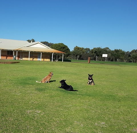 Meet The Animals - Lennox Head Accommodation 3