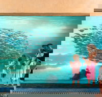 AQWA the Aquarium of Western Australia - Lennox Head Accommodation