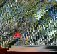 Arthur River - Lennox Head Accommodation