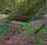 Bar Mountain circuit - Lennox Head Accommodation