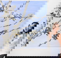 Bingara Gallery - Lennox Head Accommodation