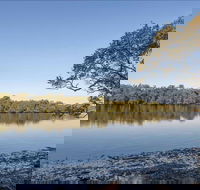 Double Wharf picnic area - Lennox Head Accommodation