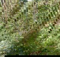 Gap Beach Walking Track - Lennox Head Accommodation