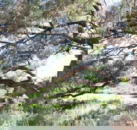 Gathercole Nature Reserve - Lennox Head Accommodation