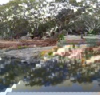 Green Corridor Walking Track - Lennox Head Accommodation