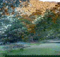 Griffins walking track - Lennox Head Accommodation