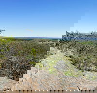 Hale Conservation Park - Lennox Head Accommodation