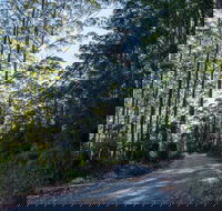 Hastings Forest Way Touring Route - Lennox Head Accommodation