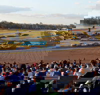 Ipswich Motorsport Precinct - Lennox Head Accommodation