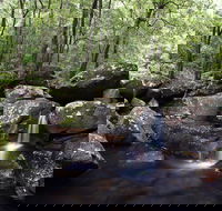 Kangaroo River - Lennox Head Accommodation