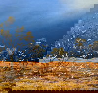Lyn Barnes Gallery - Lennox Head Accommodation