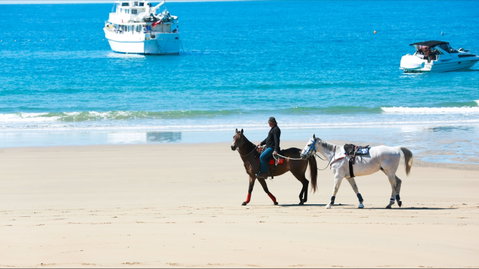 Mackay Harbour Beach - Lennox Head Accommodation 0