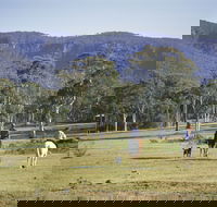 Megalong Valley - Lennox Head Accommodation