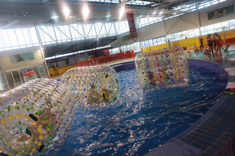 Oasis Regional Aquatic Centre - Lennox Head Accommodation 0