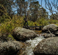 Pallaibo walking track - Lennox Head Accommodation