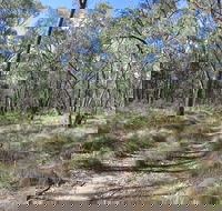 Reef Hills State Park - Lennox Head Accommodation