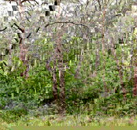 Scutts Hut Trail - Lennox Head Accommodation