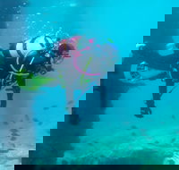 Shellharbour Scuba  and Photography Centre - Lennox Head Accommodation