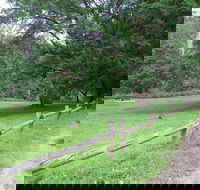 St Albans Reserve - Lennox Head Accommodation