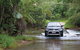 The Pioneer Valley And Eungella National Park - thumb 0