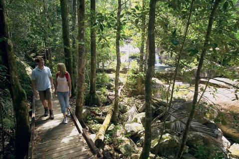 The Pioneer Valley And Eungella National Park - Lennox Head Accommodation 1