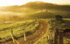 The Pioneer Valley And Eungella National Park - thumb 2
